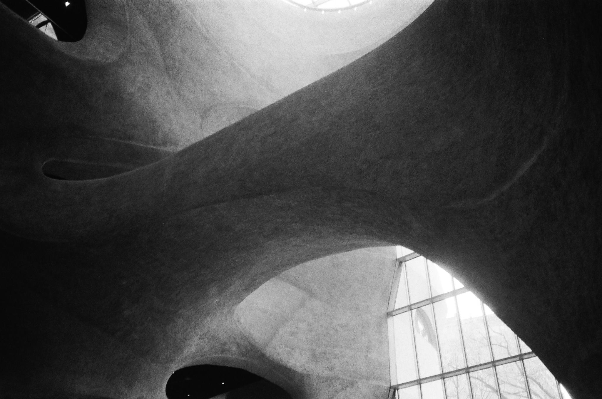 American Museum of Natural History