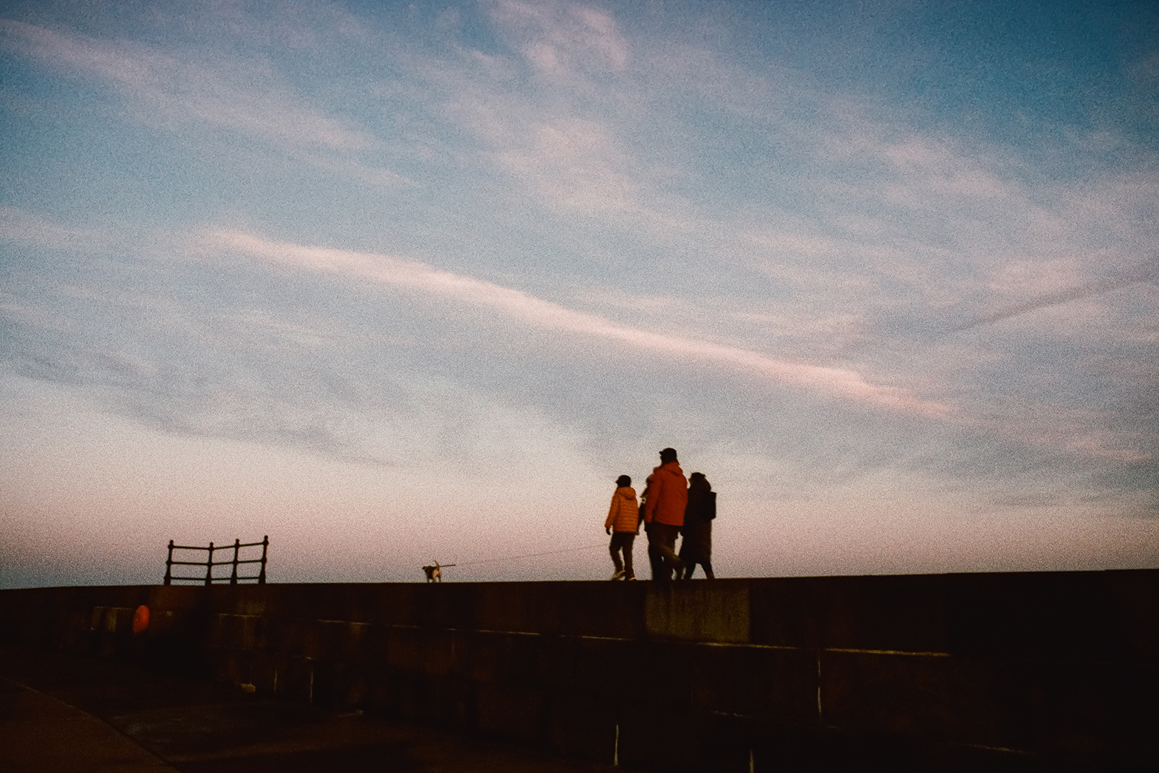 Family walking dog along the pier