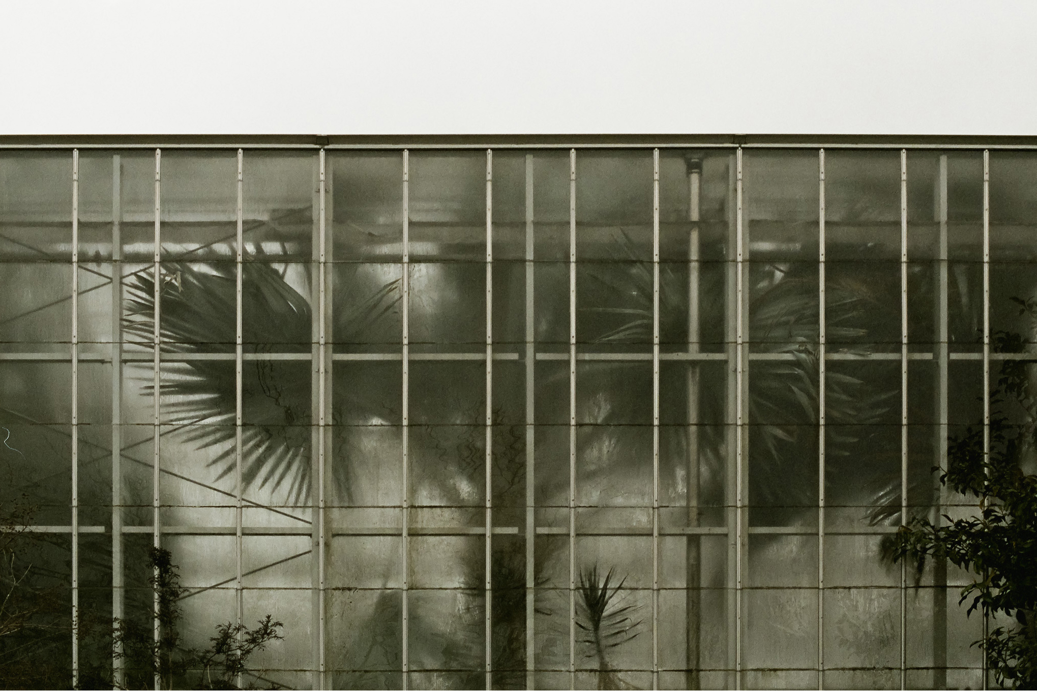 Greenhouse in Providence RI