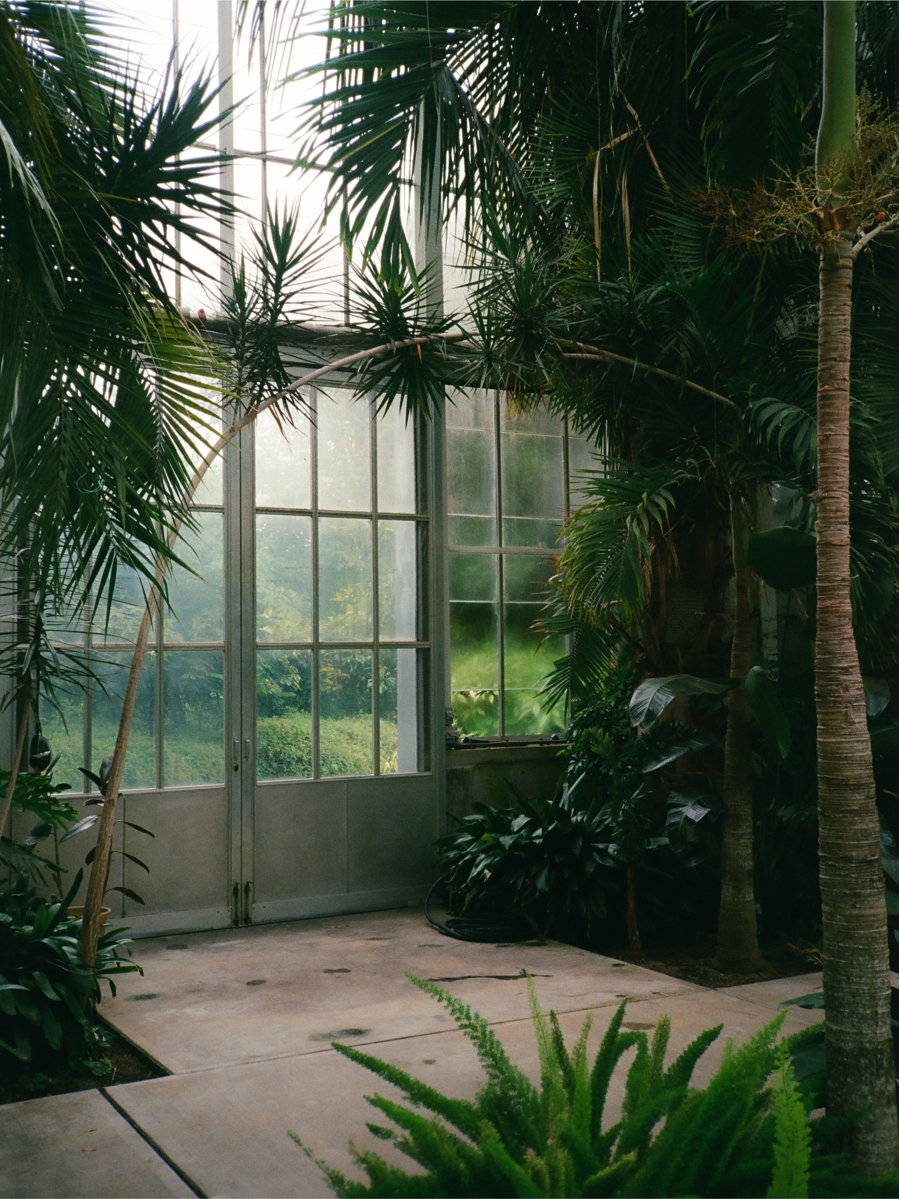 Exit to the greenhouse