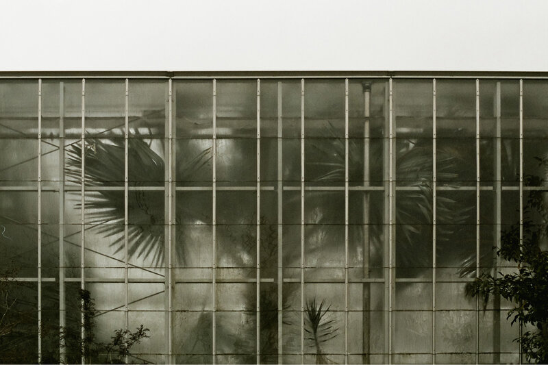 Greenhouse in Providence, RI