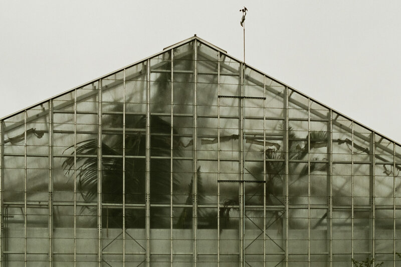 Second view of greenhouse in PVD